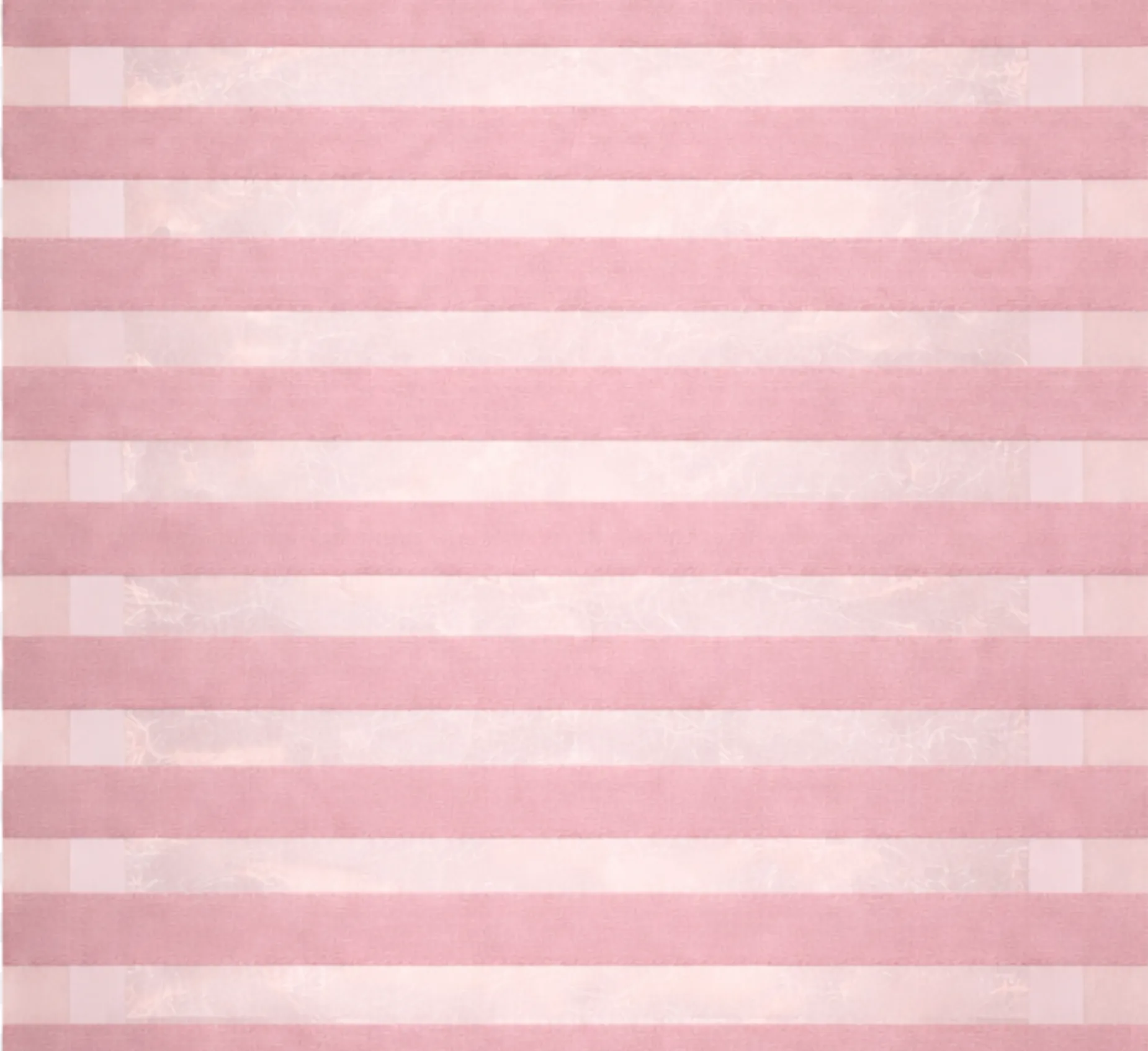 Zebra Blind 5